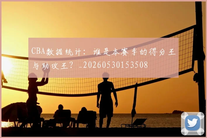 CBA数据统计:谁是本赛季的得分王与助攻王?_20260530153508