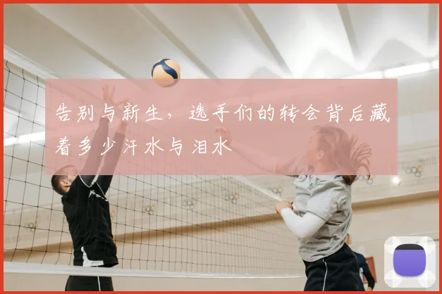 告别与新生,选手们的转会背后藏着多少汗水与泪水