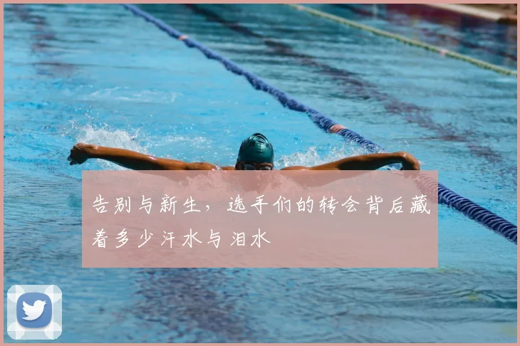 告别与新生,选手们的转会背后藏着多少汗水与泪水